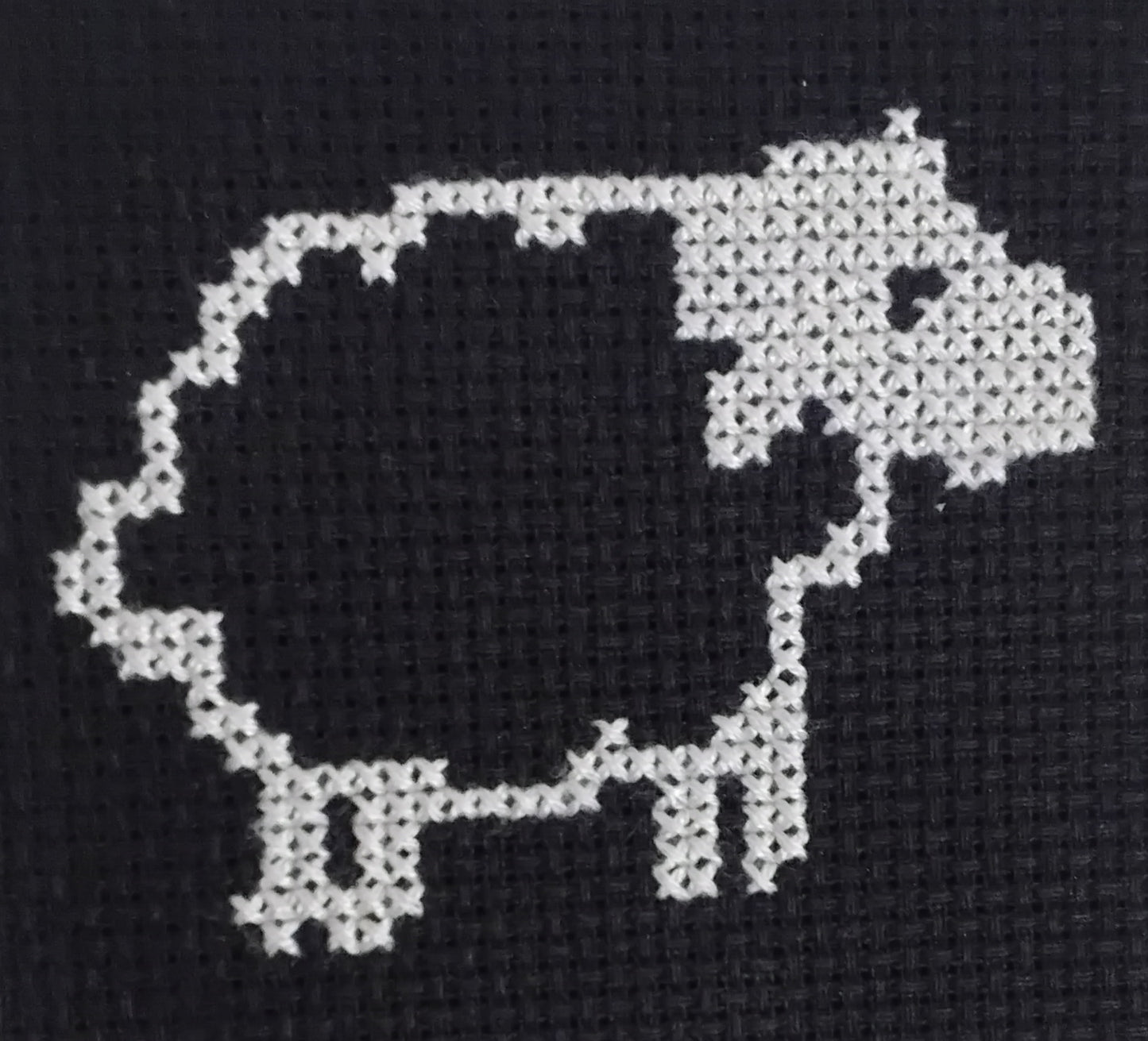 The Sheep / An Chaora