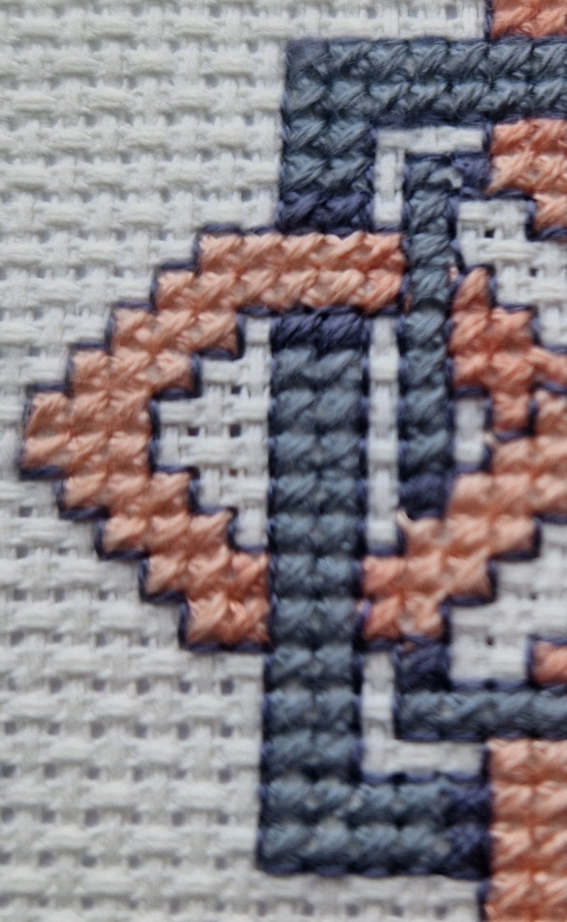 Celtic Square Knot